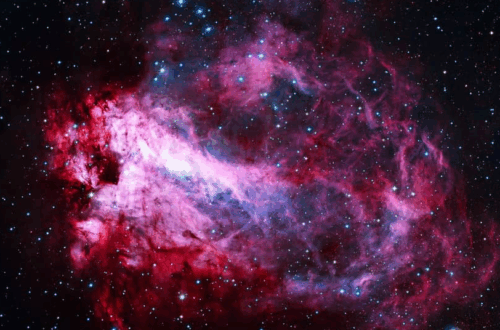 Nebulosa do Cisne